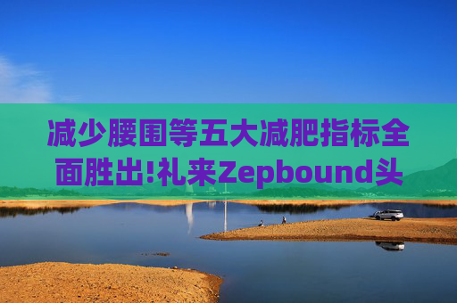 减少腰围等五大减肥指标全面胜出!礼来Zepbound头对头试验碾压诺和诺德(NVO.US)Wegovy  第1张