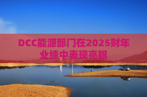 DCC能源部门在2025财年业绩中表现亮眼 第1张 DCC能源部门在2025财年业绩中表现亮眼 第1张
