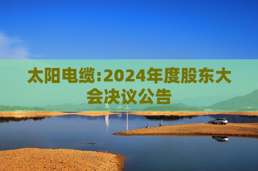 太阳电缆:2024年度股东大会决议公告  第1张