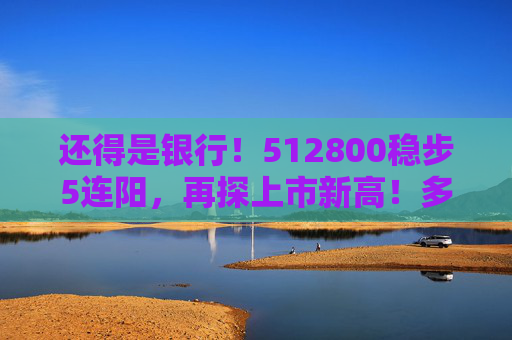还得是银行！512800稳步5连阳，再探上市新高！多股续创历史，险资持续“爆买”
