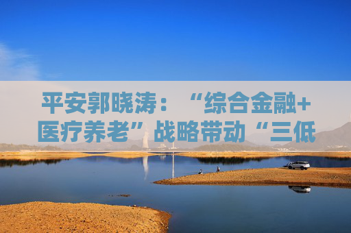 平安郭晓涛：“综合金融+医疗养老”战略带动“三低一高”和“三差”优化