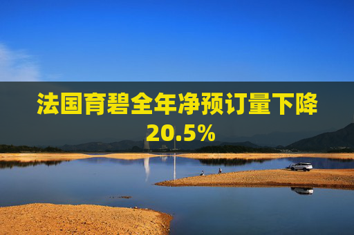 法国育碧全年净预订量下降 20.5%