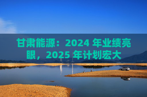 甘肃能源：2024 年业绩亮眼，2025 年计划宏大