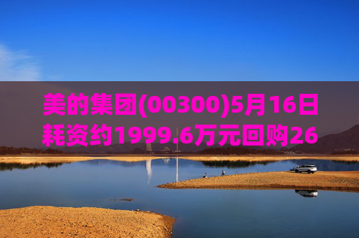 美的集团(00300)5月16日耗资约1999.6万元回购26.21万股A股  第1张