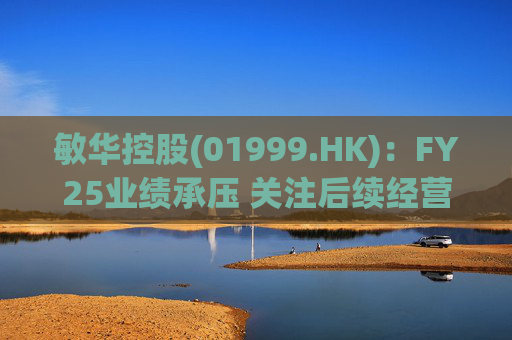 敏华控股(01999.HK)：FY25业绩承压 关注后续经营改善
