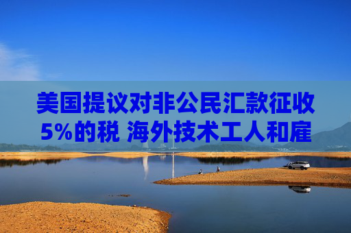 美国提议对非公民汇款征收5%的税 海外技术工人和雇主承压 第1张 美国提议对非公民汇款征收5%的税 海外技术工人和雇主承压 第1张