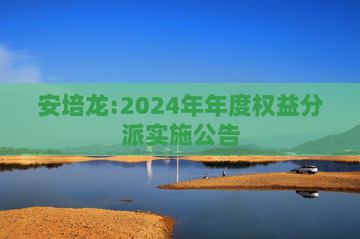 安培龙:2024年年度权益分派实施公告