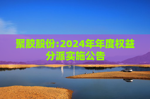 聚胶股份:2024年年度权益分派实施公告  第1张