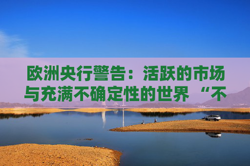欧洲央行警告：活跃的市场与充满不确定性的世界 “不同步”  第1张