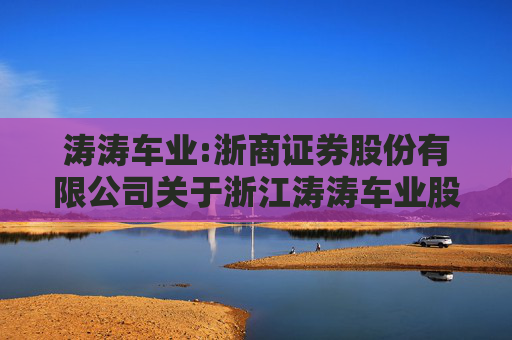涛涛车业:浙商证券股份有限公司关于浙江涛涛车业股份有限公司持续督导期2025年培训情况报告