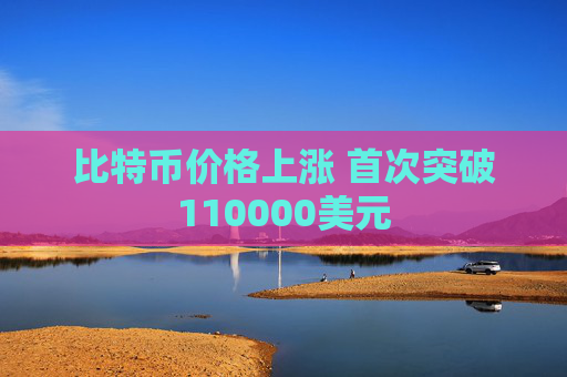 比特币价格上涨 首次突破110000美元  第1张