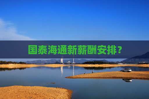 国泰海通新薪酬安排？  第1张