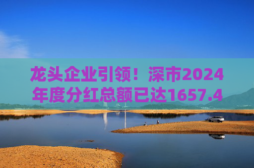 龙头企业引领！深市2024年度分红总额已达1657.47亿元