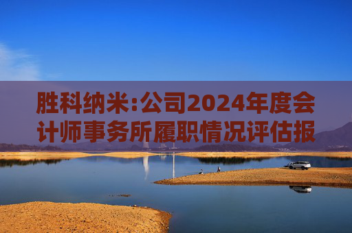 胜科纳米:公司2024年度会计师事务所履职情况评估报告  第1张