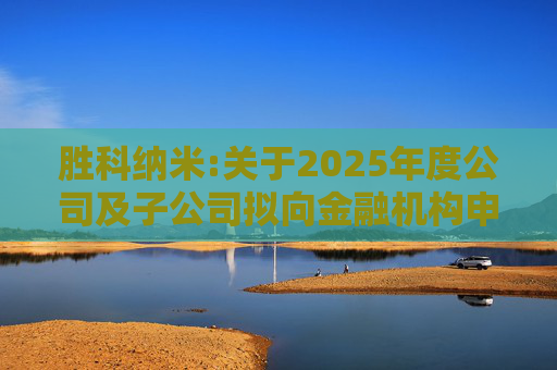 胜科纳米:关于2025年度公司及子公司拟向金融机构申请授信额度及公司为子公司提供担保额度预计的公告