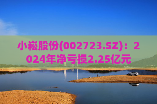 小崧股份(002723.SZ)：2024年净亏损2.25亿元  第1张