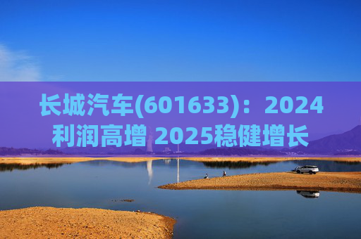 长城汽车(601633)：2024利润高增 2025稳健增长