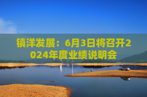 镇洋发展：6月3日将召开2024年度业绩说明会  第1张