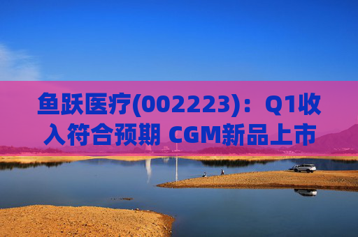 鱼跃医疗(002223)：Q1收入符合预期 CGM新品上市丰富增长动能  第1张