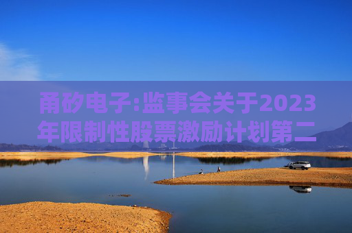 甬矽电子:监事会关于2023年限制性股票激励计划第二个归属期归属名单的核查意见  第1张