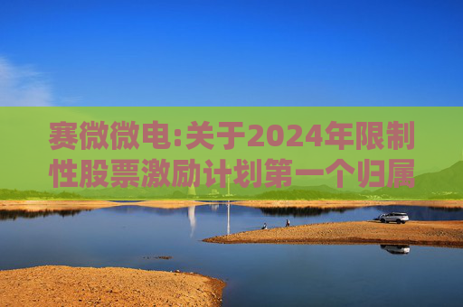 赛微微电:关于2024年限制性股票激励计划第一个归属期归属条件成就的公告