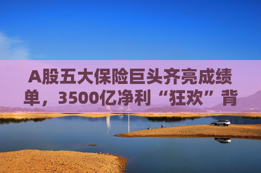 A股五大保险巨头齐亮成绩单,3500亿净利“狂欢”背后 第1张 A股五大保险巨头齐亮成绩单,3500亿净利“狂欢”背后 第1张