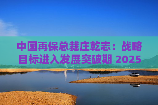 中国再保总裁庄乾志：战略目标进入发展突破期 2025年非常关键  第1张
