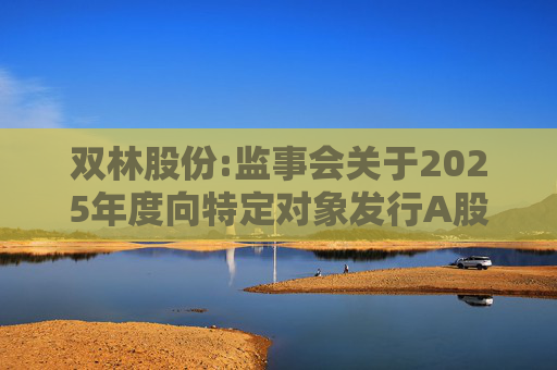 双林股份:监事会关于2025年度向特定对象发行A股股票的书面审核意见  第1张