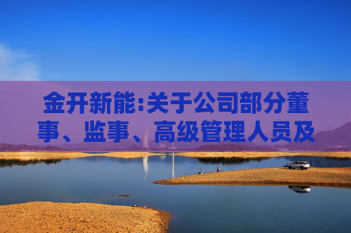 金开新能:关于公司部分董事、监事、高级管理人员及其他核心骨干员工自愿增持公司股份计划暨落实“提质增效重回报”行动方案的进展公告