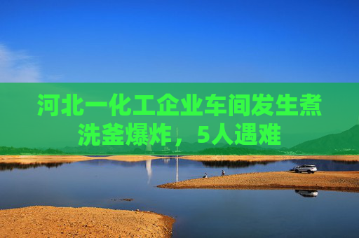 河北一化工企业车间发生煮洗釜爆炸，5人遇难  第1张