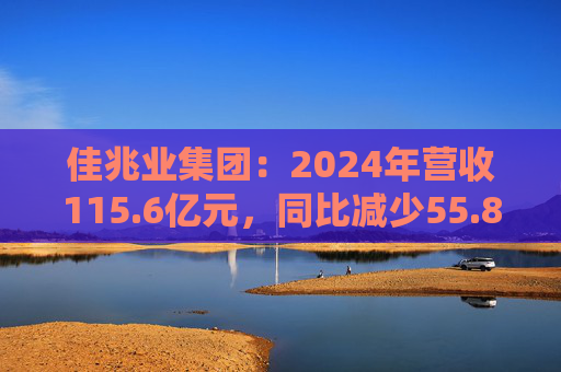 佳兆业集团：2024年营收115.6亿元，同比减少55.8%  第1张