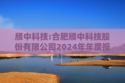 颀中科技:合肥颀中科技股份有限公司2024年年度报告  第1张