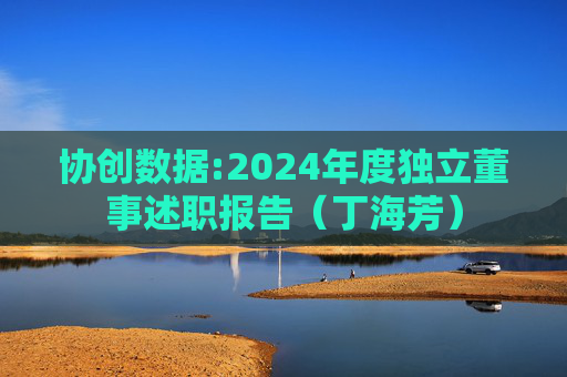 协创数据:2024年度独立董事述职报告（丁海芳）
