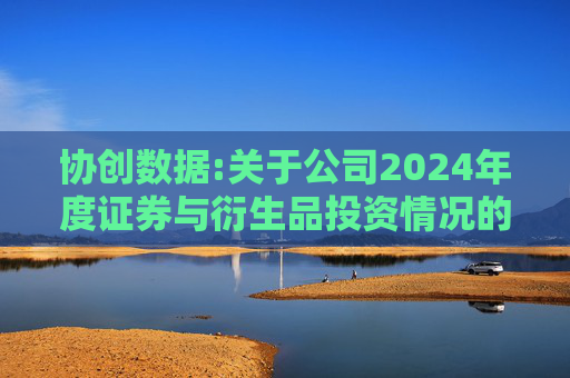 协创数据:关于公司2024年度证券与衍生品投资情况的专项报告  第1张