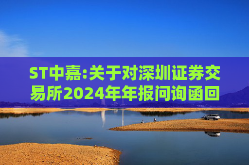 ST中嘉:关于对深圳证券交易所2024年年报问询函回复的公告  第1张