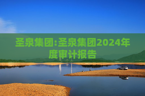 圣泉集团:圣泉集团2024年度审计报告  第1张