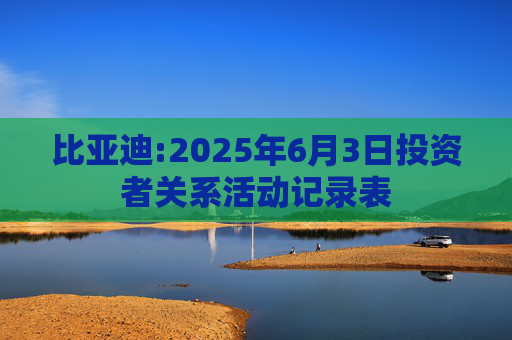 比亚迪:2025年6月3日投资者关系活动记录表