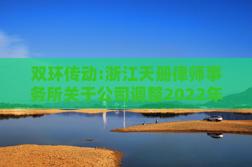 双环传动:浙江天册律师事务所关于公司调整2022年股票期权激励计划行权价格的法律意见书  第1张