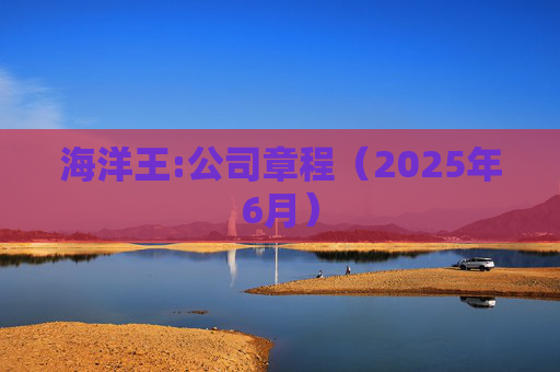 海洋王:公司章程（2025年6月）  第1张