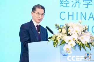 周汉民：中国要在不确定的世界中持续提供确定性