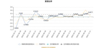 泰康恒泰回报混合A：2025年第四季度利润45.43万元 净值增长率2.94%