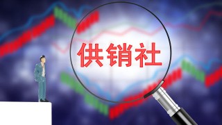 如何认识证券与期货的关系？这种关系对投资决策有何影响？