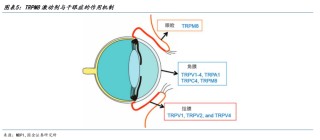 【国金医药·行业周报】创新药密集获批，后续关注国采、国谈进展