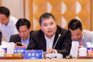 股价跌去90%！500亿激进一体化后，这家“小隆基”开始暴露风险