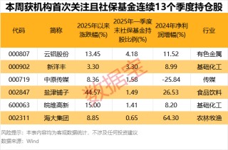 仅6股，“耐心资本”连续13个季度持仓且机构首次关注！3股2024年净利润创近10年新高