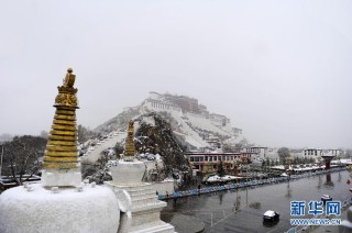 如何看待塔勒布期权的特点？塔勒布期权在投资中有何作用？