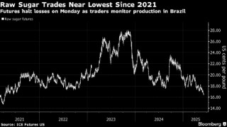 糖价止跌 因市场猜测糖厂将转向更多甘蔗用于乙醇生产