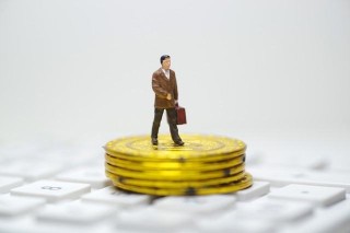 新出基金应该怎样进行查看？查看新出基金有哪些要点？