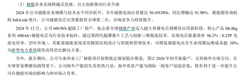 榜首依旧是宁德时代!2024年储能业务出货量TOP10盘点 第6张 榜首依旧是宁德时代!2024年储能业务出货量TOP10盘点 第6张