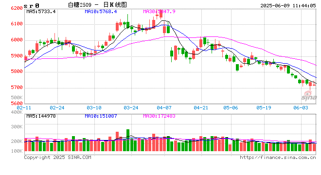 光大期货：6月9日软商品日报  第2张